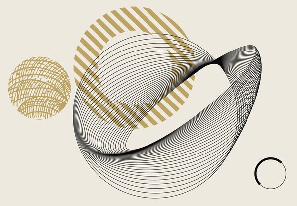Fototapeta - Abstrakcyjne linie i koła (196x136 cm)