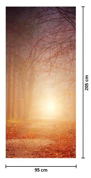 Fototapeta na drzwi - Jesienny las we mgle (95x205cm)