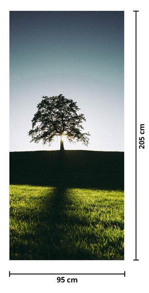 Fototapeta na drzwi - Drzewo (95x205cm)