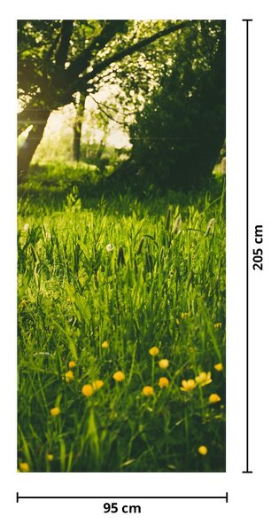 Fototapeta na drzwi - Łąka (95x205cm)