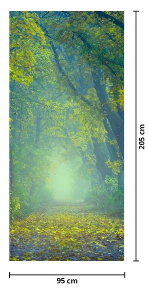 Fototapeta na drzwi - Ścieżka wysadzana drzewami (95x205cm)