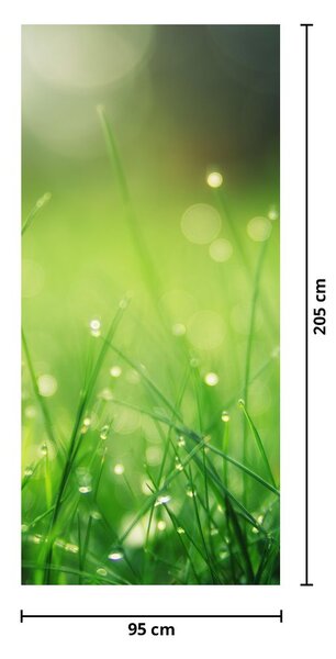 Fototapeta na drzwi - Rosa na trawie (95x205cm)