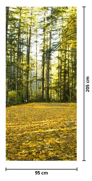 Fototapeta na drzwi - Las jesienią (95x205cm)