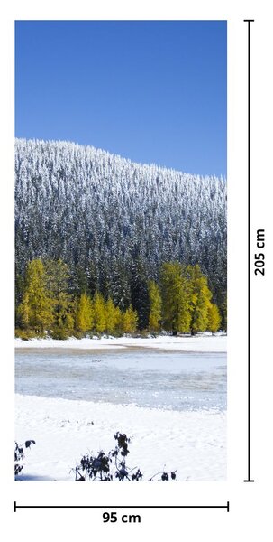 Fototapeta na drzwi - Śnieżne góry zimą (95x205cm)