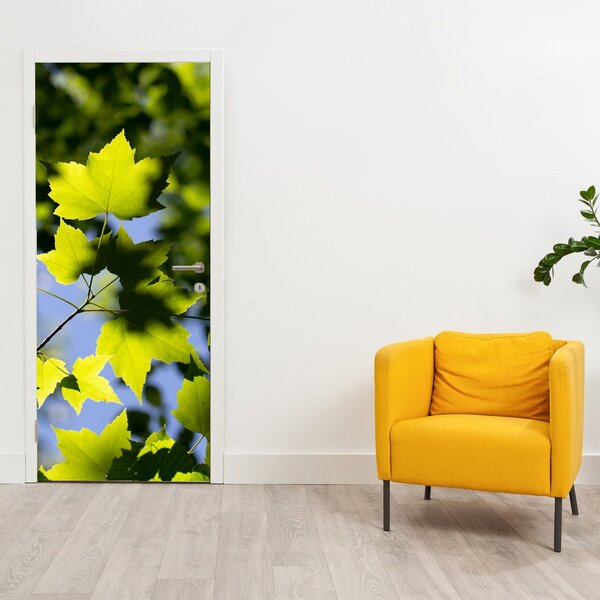 Fototapeta na drzwi - Liście klonu (95x205cm)