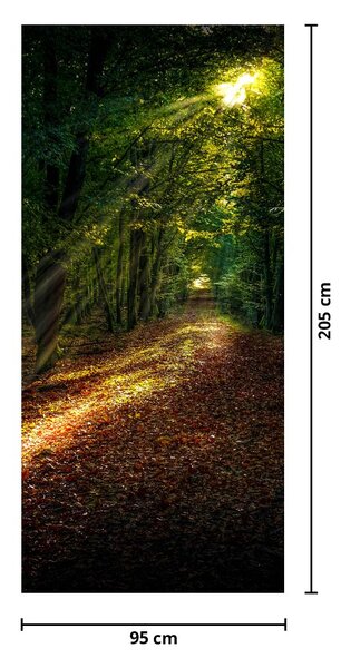 Fototapeta na drzwi - Leśna ścieżka (95x205cm)