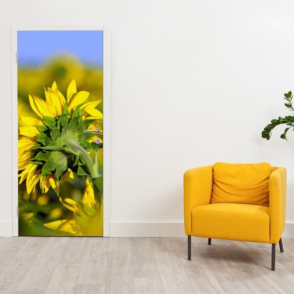 Fototapeta na drzwi - Słonecznik (95x205cm)
