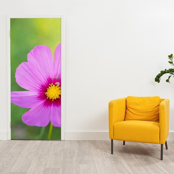 Fototapeta na drzwi - Kwiat łąki (95x205cm)