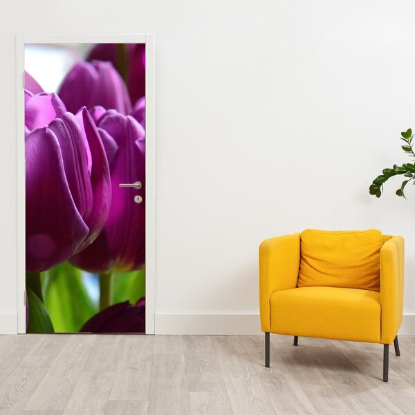 Fototapeta na drzwi - Tulipany (95x205cm)