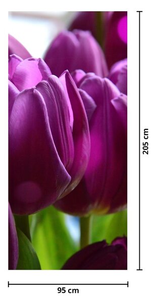 Fototapeta na drzwi - Tulipany (95x205cm)