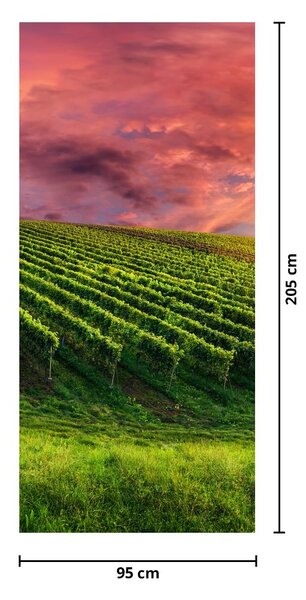 Fototapeta na drzwi - Winnica z kolorowym niebem (95x205cm)