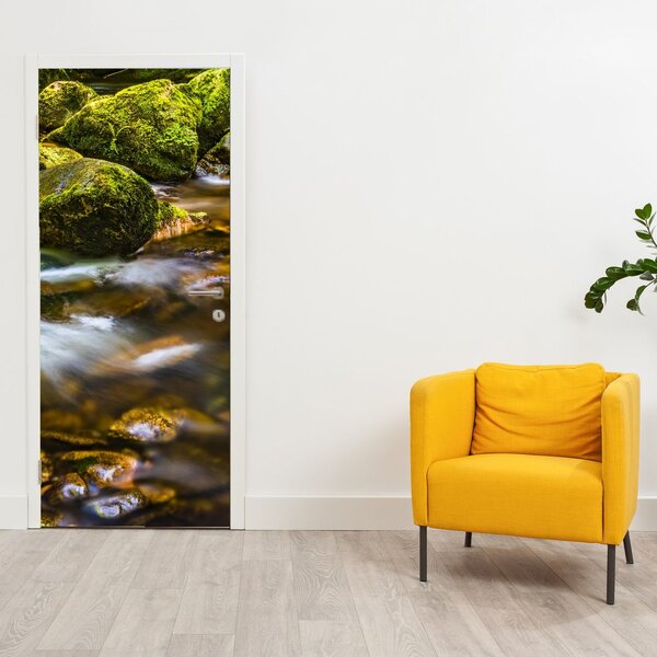 Fototapeta na drzwi - Strumień (95x205cm)