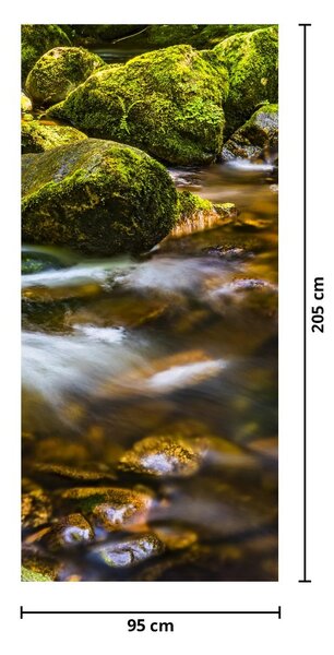 Fototapeta na drzwi - Strumień (95x205cm)