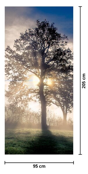 Fototapeta na drzwi - Drzewo we mgle (95x205cm)