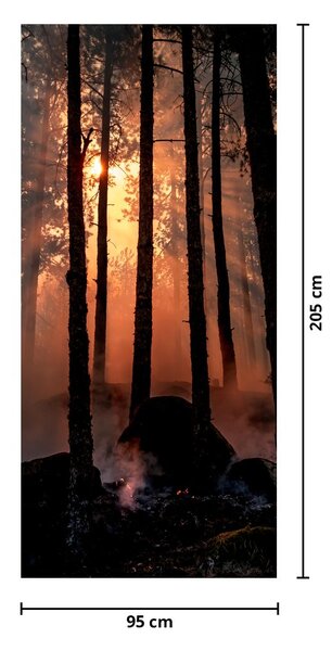 Fototapeta na drzwi - Ciemny las (95x205cm)