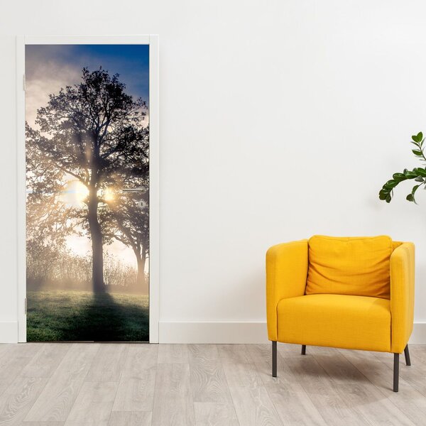 Fototapeta na drzwi - Drzewo we mgle (95x205cm)