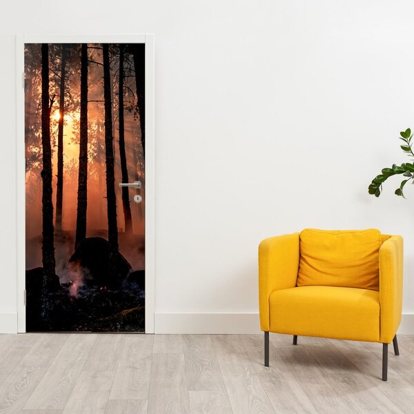 Fototapeta na drzwi - Ciemny las (95x205cm)