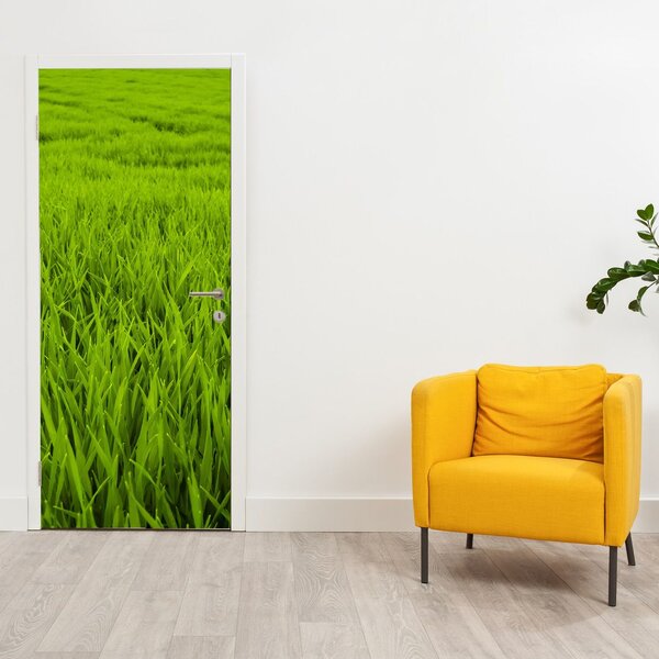 Fototapeta na drzwi - Trawa (95x205cm)