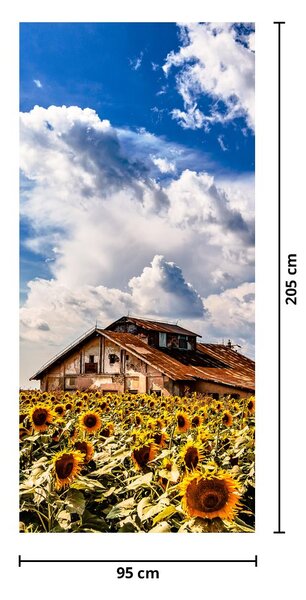 Fototapeta na drzwi - Pole słoneczników (95x205cm)