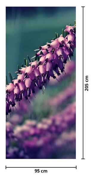 Fototapeta na drzwi - Lawenda (95x205cm)