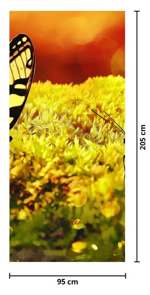 Fototapeta na drzwi - Motyle (95x205cm)