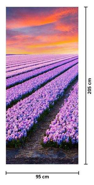 Fototapeta na drzwi - Farma kwiatowa (95x205cm)