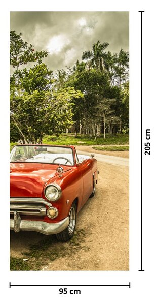 Fototapeta na drzwi - Zabytkowe auto w naturze (95x205cm)
