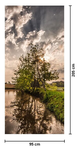 Fototapeta na drzwi - Natura z promieniami (95x205cm)