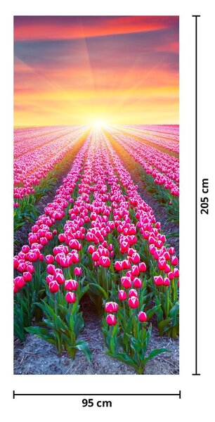Fototapeta na drzwi - Pole tulipanów ze słońcem (95x205cm)