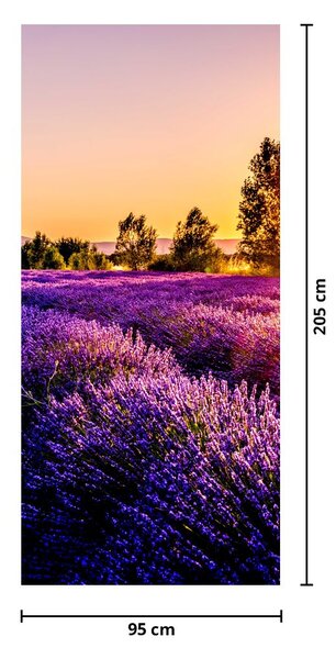 Fototapeta na drzwi - Lawendowe pole (95x205cm)