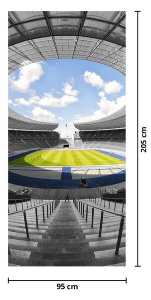 Fototapeta na drzwi - Stadion piłkarski (95x205cm)