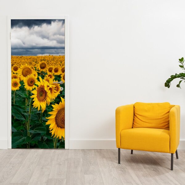 Fototapeta na drzwi - Pole słoneczników (95x205cm)