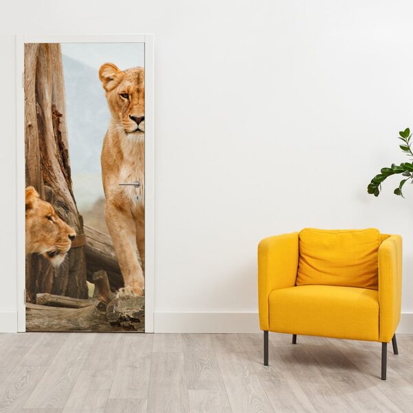 Fototapeta na drzwi - Dwie lwice (95x205cm)