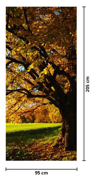 Fototapeta na drzwi - Jesień (95x205cm)