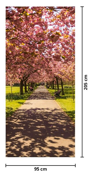 Fototapeta na drzwi - Sad czereśni (95x205cm)