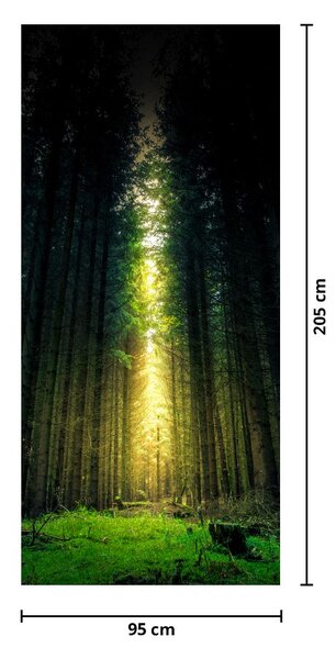 Fototapeta na drzwi - Ciemny las (95x205cm)