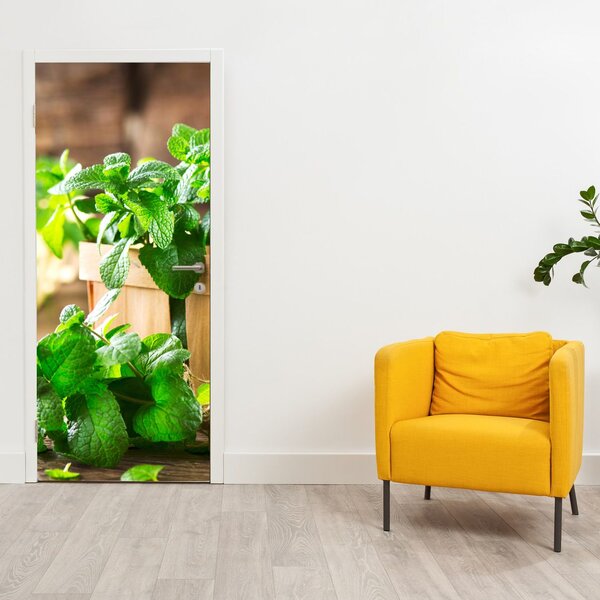 Fototapeta na drzwi - Świeża mięta (95x205cm)