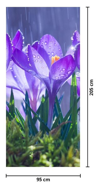 Fototapeta na drzwi - Kwiaty w deszczu (95x205cm)