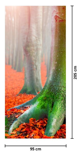 Fototapeta na drzwi - Drzewa (95x205cm)