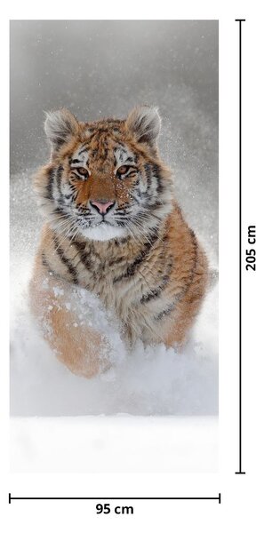 Fototapeta na drzwi - Biegnący tygrys po śniegu (95x205cm)