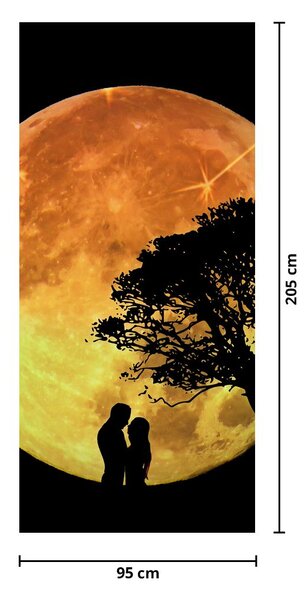 Fototapeta na drzwi - Cienie w świetle księżyca (95x205cm)