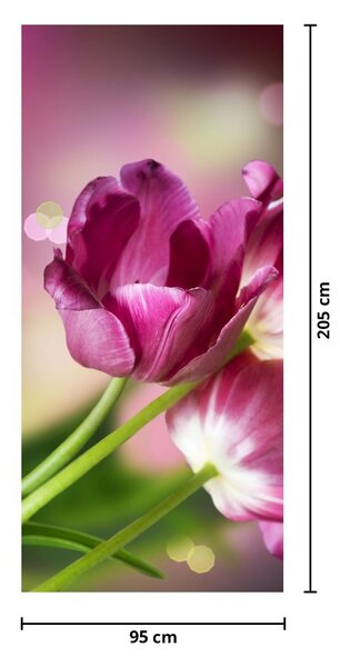 Fototapeta na drzwi - Różowe tulipany (95x205cm)