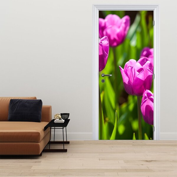 Fototapeta na drzwi - Tulipany na łące (95x205cm)