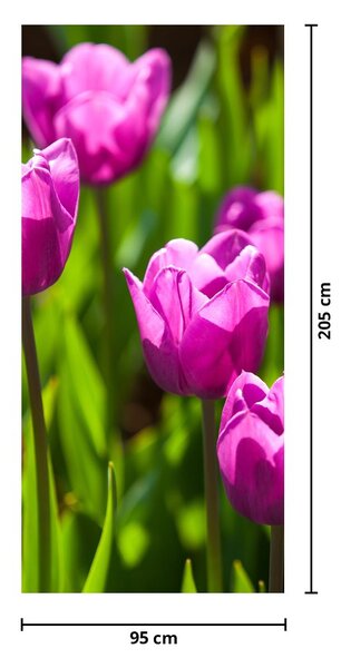 Fototapeta na drzwi - Tulipany na łące (95x205cm)