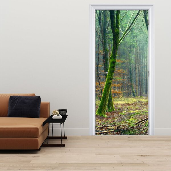 Fototapeta na drzwi - Las (95x205cm)