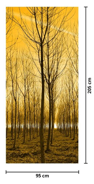 Fototapeta na drzwi - Las o zachodzie słońca (95x205cm)
