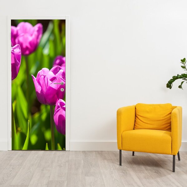 Fototapeta na drzwi - Tulipany na łące (95x205cm)