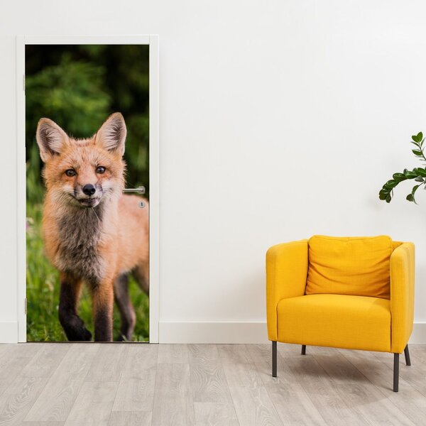 Fototapeta na drzwi - Lis (95x205cm)
