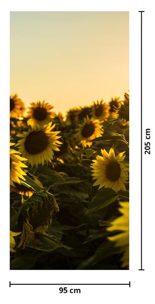 Fototapeta na drzwi - Pole słoneczników (95x205cm)
