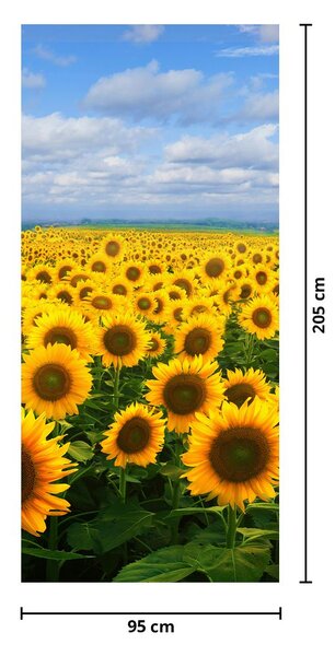 Fototapeta na drzwi - Pole słoneczników (95x205cm)
